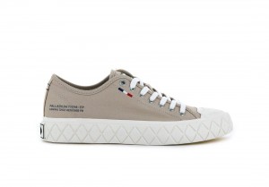 Grey Brown Palladium Palla Ace Canvas Men Sneakers | Saudi Arabia-OD6158437