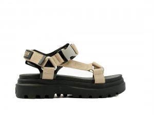 Khaki / Black Palladium Pallacruise Strap Women Sandals | Saudi Arabia-TM7596148