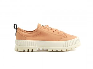Orange Palladium Pallashock Lo Organic 2 Kids' Sneakers | Saudi Arabia-OR9345681
